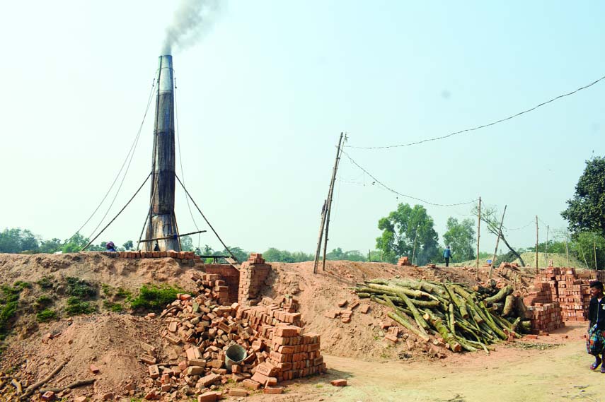 MYMENSINGH: A view of an illegal brick field at Muktagachha Upazila.