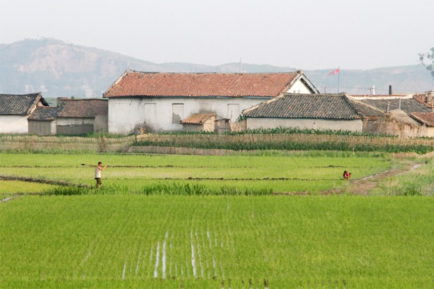 A North Korean farm is seen in the rice paddy fields on Hwanggumpyong Island, located in the middle of the Yalu River, near the North Korean town of Sinuiju, opposite the Chinese border city of Dandong, North Phyongan Province, North Korea.