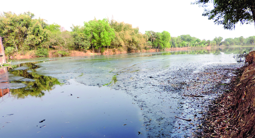 MYMENSINGH: Wastes from industries damaging crop field at Bhaluka in Mymensingh .