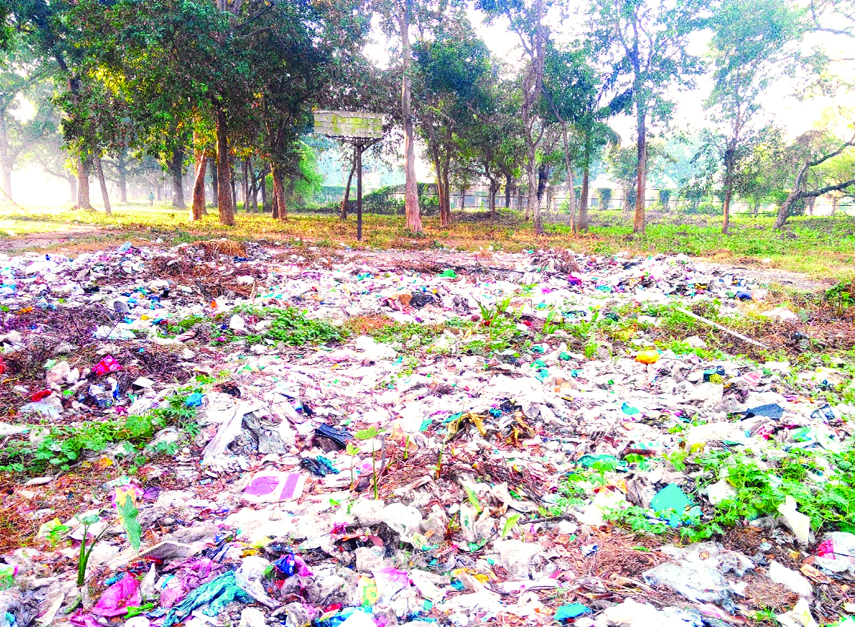 RAJSHAHI UNIVERSITY : Mosquito menace has increased at Rajshahi University recently causing sufferings to the teachers and students .