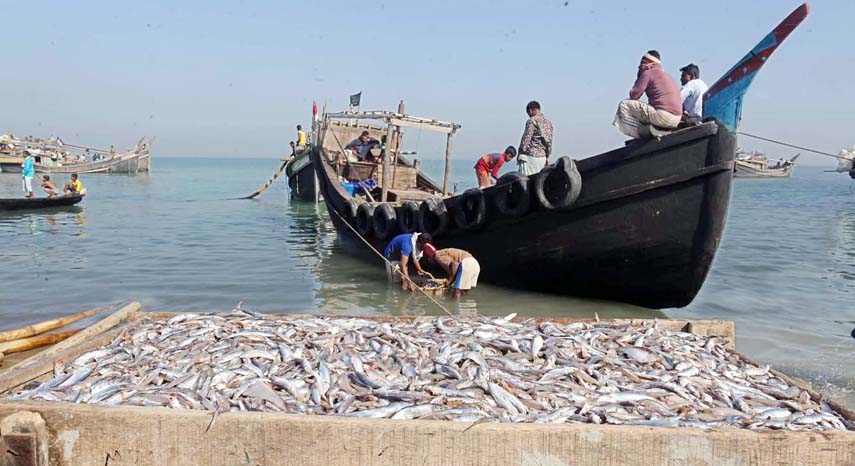 Fishermen at Teknaf Sea Beach busy in fishing after weather condition improves on Saturday. Banglar Chokh