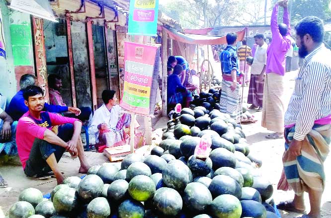 NATORE: Water-melons are being sold at Tk 30 to 35 per piece at Naldanga Bazar frustrating the buyers. This picture was taken yesterday.