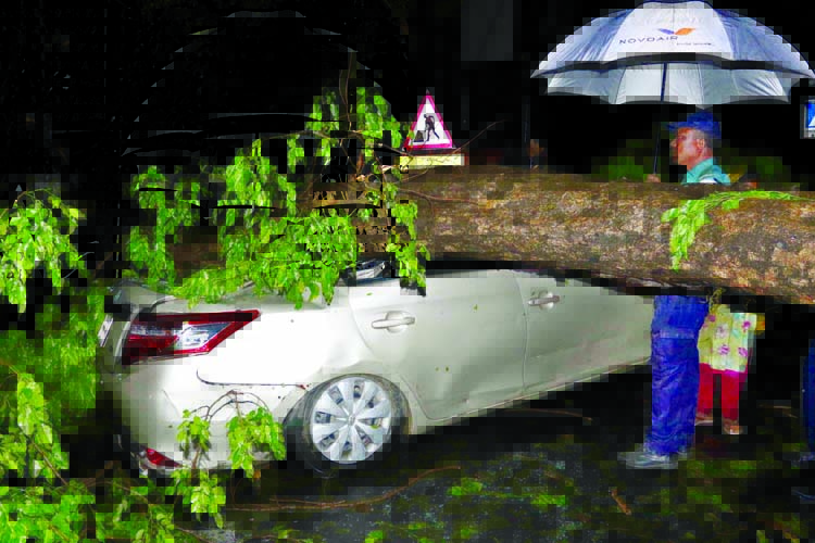 A big tree fell upon a running car as nor'wester coupled with hailstorm and rain swept the capital, the first of the season on Sunday evening. This photo was taken from cityâ€™s Minto Road.