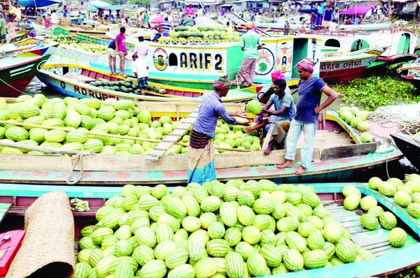 PIROJPUR: Floating Watermelon Bazar at Swarupkathi Upazila has gained momentum as the district has achieved bumper production of the summer fruit. This snap was taken on Monday.