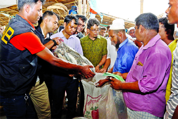 About 20 tons of 'Jatka' seized and nine people were sent to jail by RAB from Swarighat market on Friday.