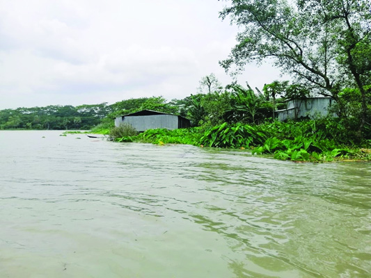 BETAGI (Barguna): Natural calamities have taken serious turn due to climate change and water level of local rivers has incresed at Betagi Upazila damaging crop lands and dwelling houses . This snap was taken yesterday.