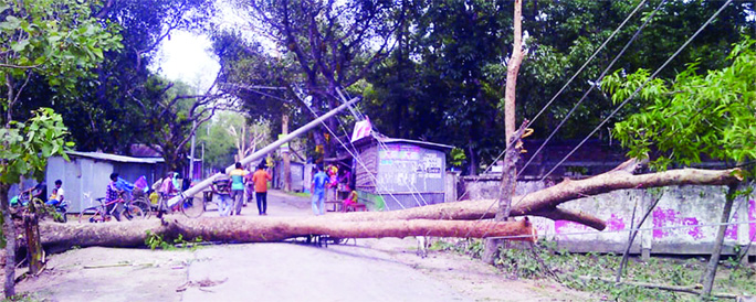 GANGACHARA (Rangpur): Road communication has hampered at Gangachara Upazila as tree and electricity piller were pull off by nor'wester on Monday.