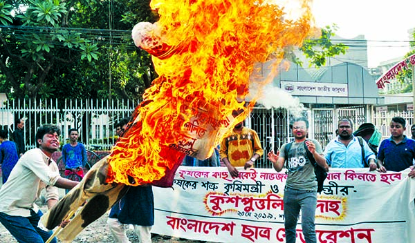 Bangladesh Chhatra Federation burning the effigy of Food Minister Dr Abdur Razzak in front of the National Museum on Monday protesting his comment on low price of paddy.