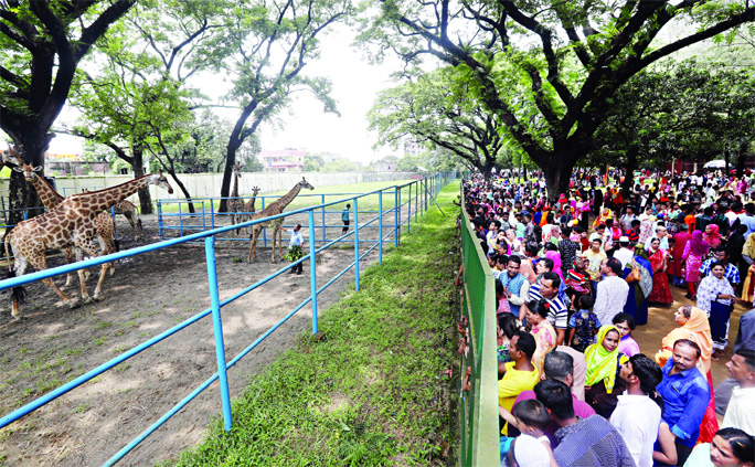 Thousands of holidaymakers thronged the Mirpur Zoo. This photo was taken on Friday.