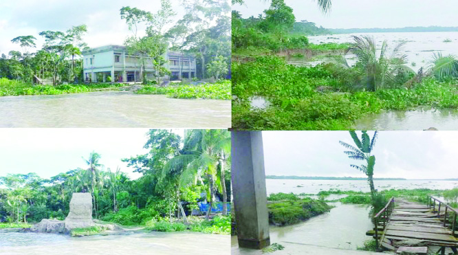 BARISHAL: Shandha River erosion has taken a serious turn at Ghuthiya Union as large area including Ashoya Govt Pry School is about to extinct . This snap was taken yesterday.