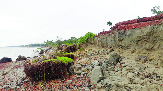 LAKSHMIPUR: Meghna River erosion has taken a serious turn at Lakshmipur . This snap was taken on Sunday.