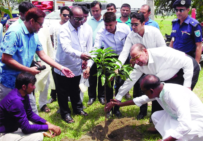 MIRZAPUR (Tangail): Md Shahidul Islam, DC, Tangail planting a sapling marking the 1st re-union of Alhaj Shafiuddin Mia and Ekabbar Hossain Technology College on Tuesday.