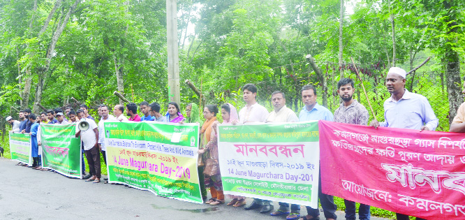 KULAURA (Moulvibazar): Different environmental organisations formed a human chain on the occasion of the Magurchhara Day on Friday.