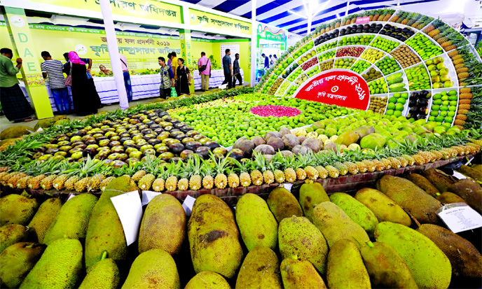 Department of Agricultural Extension arranges 3-day National Fruit Show-2019 organized by Agriculture Ministry at Khamarbari, Krishibid Institute in the city on Sunday.