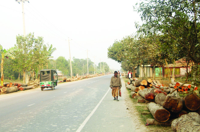 MYMENSINGH: Vehicles movement have been hampered as construction materials and logs were left illegally on Kishoreganj- Mymensingh Highway at Nandail Upazila point. This snap was taken on Sunday.