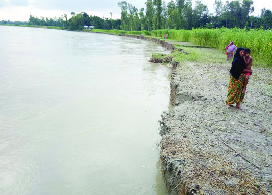 KURIGRAM: Teesta River erosion has taken a serious turn at Rajarhat Upazila which devouring dwelling houses and crop lands. This snap was taken on Monday.