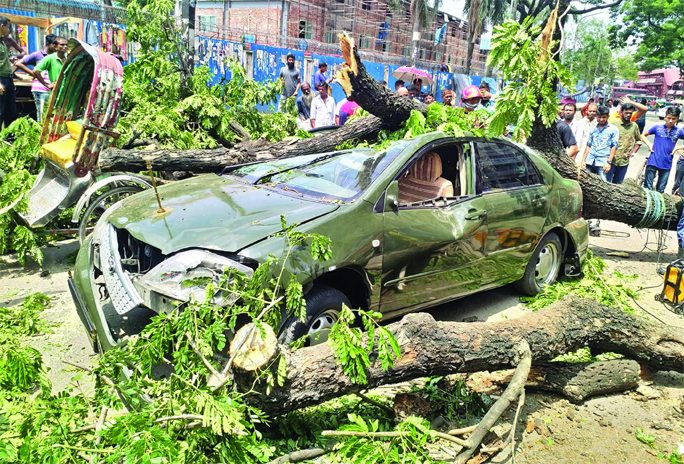 A private car was severely damaged in front of city's Tejgaon College as a big tree fell on it on Friday. Two people including car driver were injured.