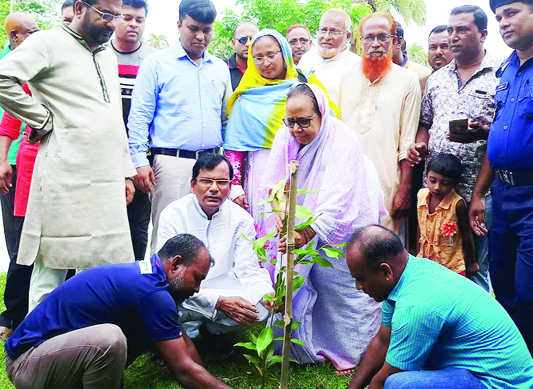 RAMPAL(Bagerhat): Deputy Minister for Forest, Environment and Climate Change Affairs Alhaj Habibun Nahar inaugurating planting campaign as Chief Guest at Rampal recently. Among others, Sk, Moajjem Hossain, Chairman , Rampal Upazila also present in the p