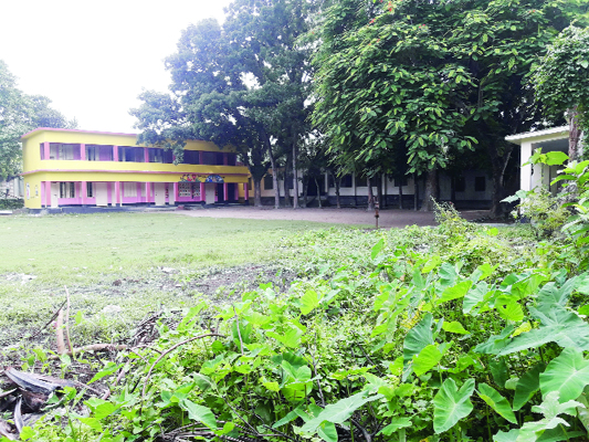 MANIKGANJ: Major portion of compound of Daulatpur Govt Primary School has turned into a dustbin polluting the environment. This snap was taken yesterday.