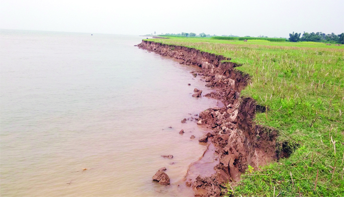 RAJBARI: Padma River erosion has taken a serious turn at 85 kms point of river side in Rajbari. This snap was taken from Devgram area in Goalando Upazila on Tuesday.