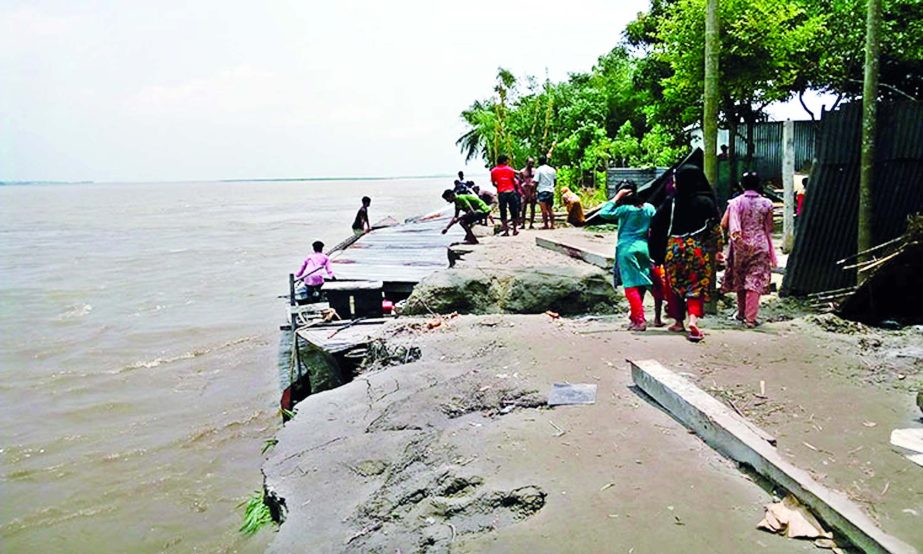 Thousands of villagers being panicked as severe river erosion in Tangail's Bhuapur upazila threatens to devour villages. This photo was taken from Khanubari area on Friday.