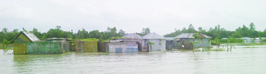 GANGACHARA (Rangpur) : Dwelling houses of Uttar Kolkonda Village was flooded as the water level rise in Teesta River on Saturday.