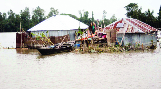 SAGHATA (Gaibandha): Crops lands and dwelling houses were submerged by flood at Saghata Upazila. This snap was taken yesterday.