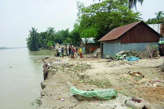 JAMALPUR: Brahmaputra River erosion has taken a serious turn at Charhatija village in Melandah Upazila as 50 dwelling houses have already been engulfed. This snap was taken on Friday.
