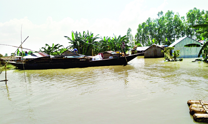 The flood affected people of Baishakhir Char under Dhunat Upazila in Bogura district leaving homes with their household to safer places on Saturday.