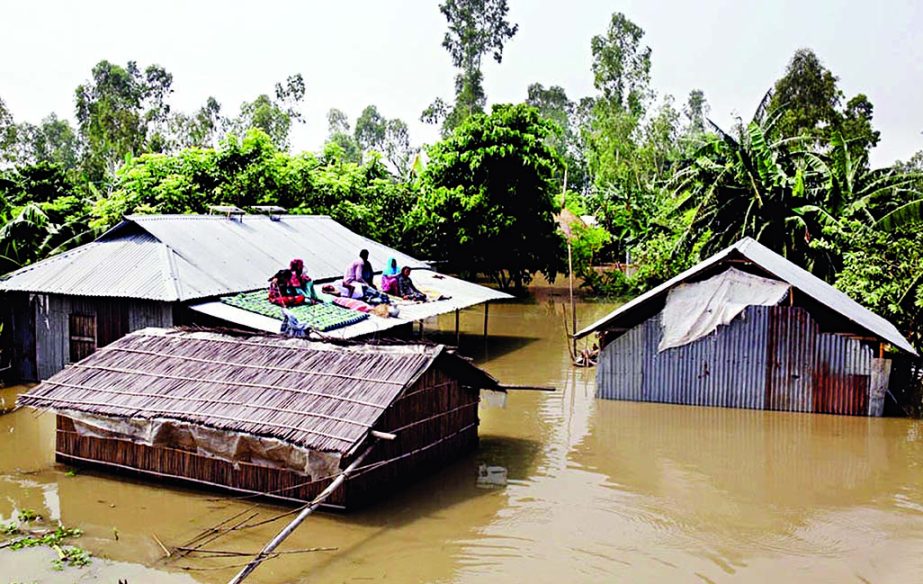 Flood affected people living on the tin roof top as their all belongings were inundated due to increasing water level. This photo was taken from Kurigram on Saturday.