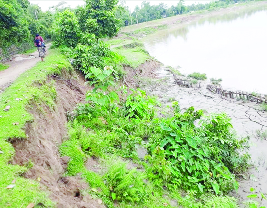 KULAURA(M'bazar): Cracks have developed on protection embankment of Monu River at Hasimpur area in Kulaura Upazila of Moulvibazar due to sand extraction.