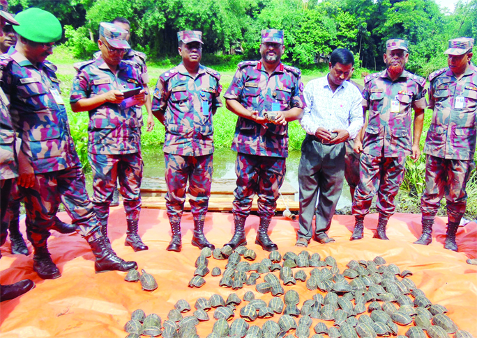 JHENAIDAH: Members of BGB recovered 175 baby tortoises from Mashpur Border in Jhenaidah on Tuesday.