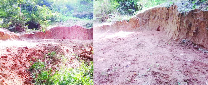 SYLHET: An influential section cutting hill at Pathantilla village at Fenchuganj upazila polluting environment .