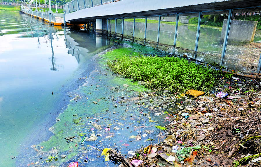 A portion of Hatirjheel areas is filled with solid, industrial waste and garbage dumped by the locals flowing from the catchment areas of the lake and polluting its water. But the authorities concern not yet taken any step to prevent onrush of floating wa