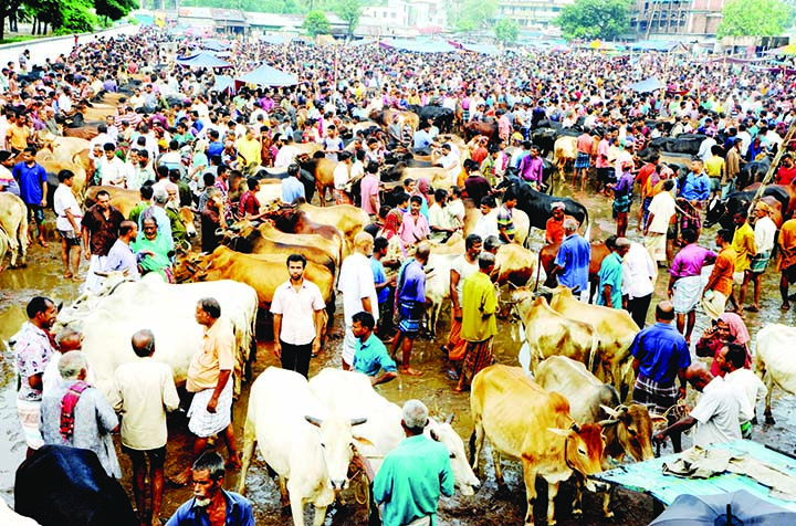 BOGURA: Buyers and traders passing busy time at Mahasthangarh cattle market in Bogura . This picture was taken yesterday.