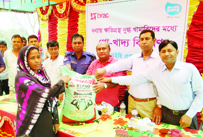 BHANGURA(Pabna): Golam Hasnain Rasell, Mayor, Bhangura Municipality distributing cattle feed at Bhangura Upazila organised by BRAC Dairy and Food Project on Sunday.