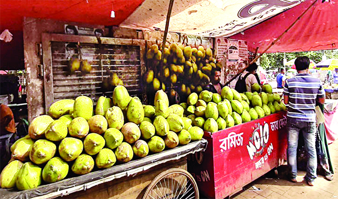 Vendors up a large number of green coconuts at makeshift shops in front of the Dhaka Medical College Hospital on Tuesday as their demand increased in the wake of rush of dengue patients.