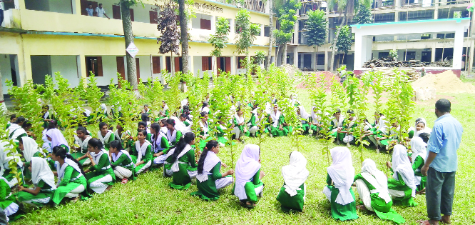 SARISHABARI (Jamalpur) : A tree plantation programme and distribution of guava plants among the students of Sarishabari Salema Khatun Girlsâ€™ High School was arranged by Wazeda Parvin , Head Mistress of the School on Wednesday.