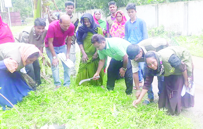 BANARIPARA(Barishal) : A cleanliness drive was launched at Upazila Ansar-VDP Office yesterday.