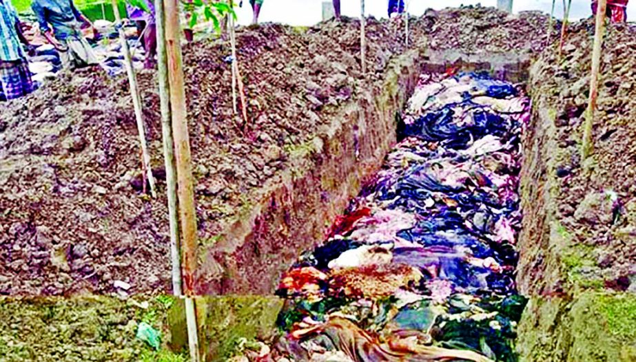 Some skin traders dumped about 900 rawhide at a grave-like big hole, protesting throwaway prices from buyers due to involvement of syndicate in manipulating the hide market. This photo was taken from Sunamganj's Jagannathpur upazila of Sylhet on Wednesd