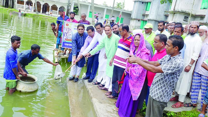 BETAGI (Barguna): Maksudur Rahman Forkan, Chairman, Upazila Parishad releasing fish fries at Upazila Parishad pond on Monday.