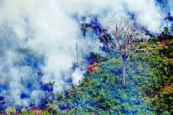 This fire, one of hundreds burning in the Amazon region, was photographed about 65 kilometers (40 miles) from Porto Velho in northern Brazil's Rondonia state.