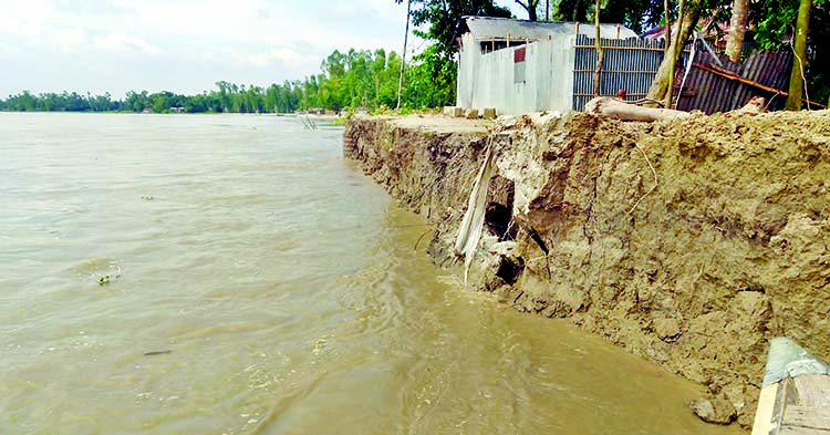 About one hundred fifty houses were devoured by Teesta River erosion following the recession of flood water in Biddananda union under Rajarhat upazila of Kurigram district. This photo was taken on Monday.