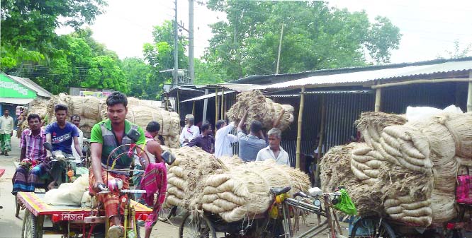 MADHUKHALI (Faridpur ): Frustrated farmers at Madhukhali Sadar Bazar moving around due to low price of jute. This snap was taken yesterday.