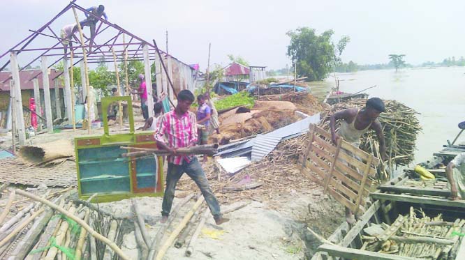 GANGACHARA (Rangpur): People shifting their household materials at Shankardaho Guchchhagram in Gangachara Upazila as Teesta River erosion has taken a serious turn yesterday.