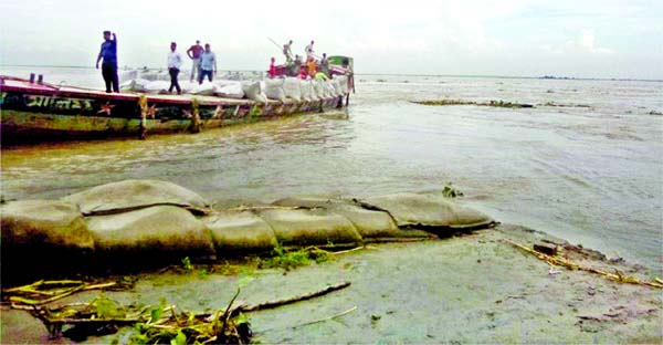 Padma River erosion devours about 300-meter Naria Protection Dam along with several houses following the sudden rise of water from upper stream on Friday.