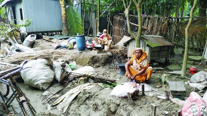 SHARIATPUR: Erosion victims of Padma River at Nariya Upazila taking shelter under the open sky as no rehabilitation programme has been taken. This snap was taken from Uttar Kaderpur area yesterday.