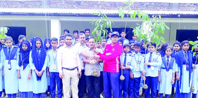 MANIKGANJ: A tree plantation programme was held at Sahorail School and College organised by Manikganj Green Club recently.