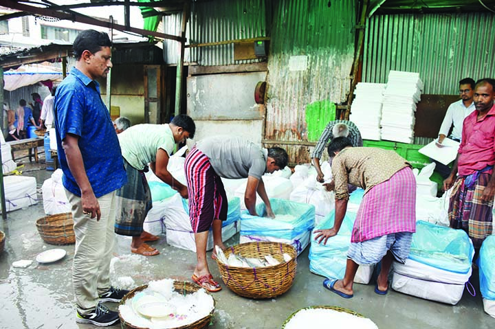 BARISHAL : Labourers and traders at Barishal wholesale hilsa market became busy on Monday after decision of hilsa export to India as Durja Puga greetings announced recently.