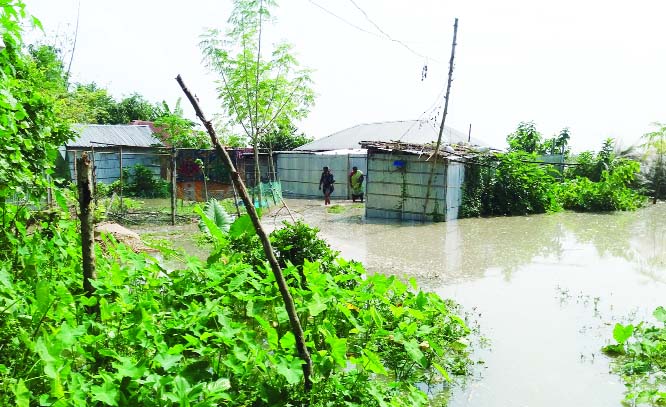 PABNA: Dwelling houses, roads and crop lands at Pakshi Hardinge Bridge Point in Pabna have been submerged as water level of Padma River has increased. This snap was taken yesterday.